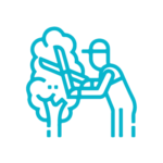 jardinagem2 jardinagem2